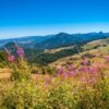 Paysage naturel puy de dome auvergne