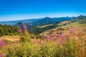 Uronat : une aventure humaine au cœur de l’Auvergne
